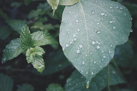 雨音の意外な効果とは スポーツまとめ スポラボ Spolabo