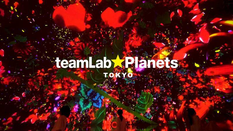 Everything is in your hand | teamLab Planets TOKYO