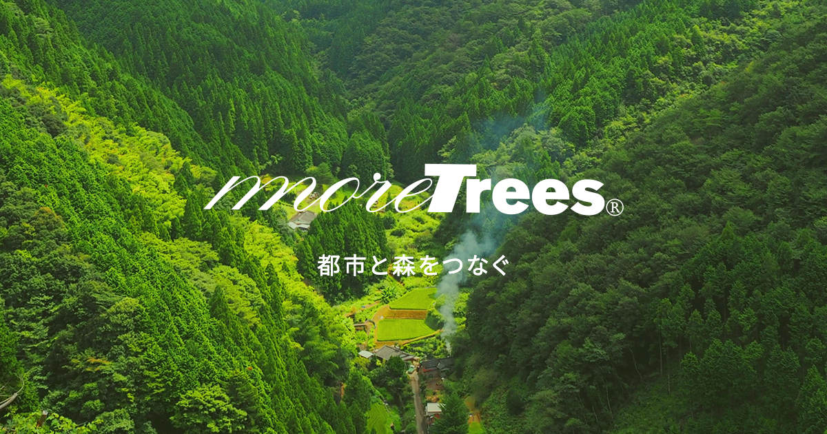 一般社団法人more trees
