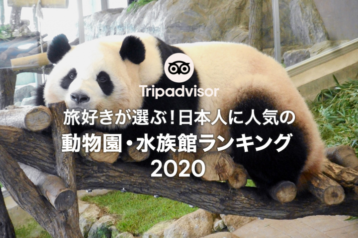 旅好きが選ぶ！日本人に人気の動物園・水族館ランキング 2020 | 